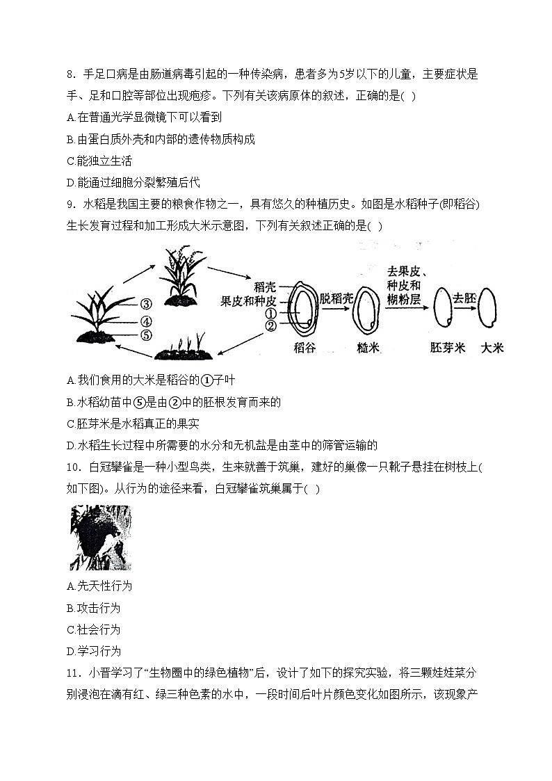 山西省吕梁市孝义市2023-2024学年八年级下学期4月期中考试生物试卷(含答案)第2页