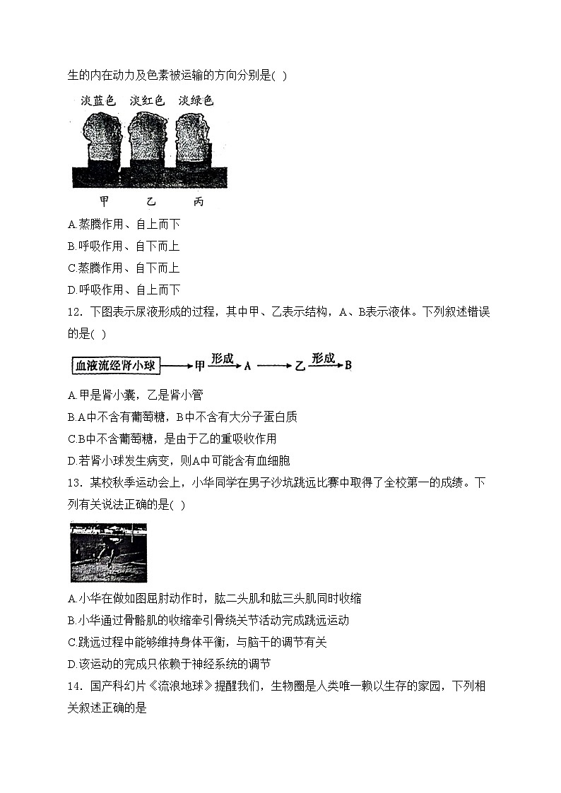 山西省吕梁市孝义市2023-2024学年八年级下学期4月期中考试生物试卷(含答案)第3页