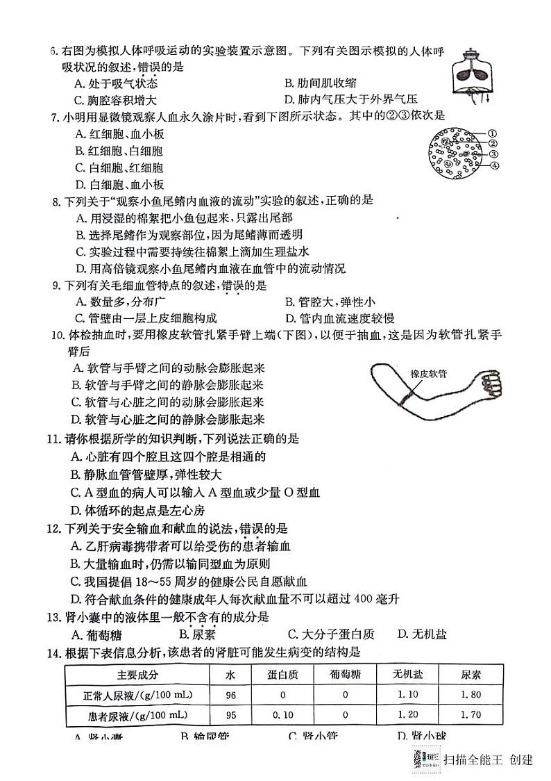山西省临汾市杏园中学2023-2024学年七年级下学期5月月考生物试题第2页