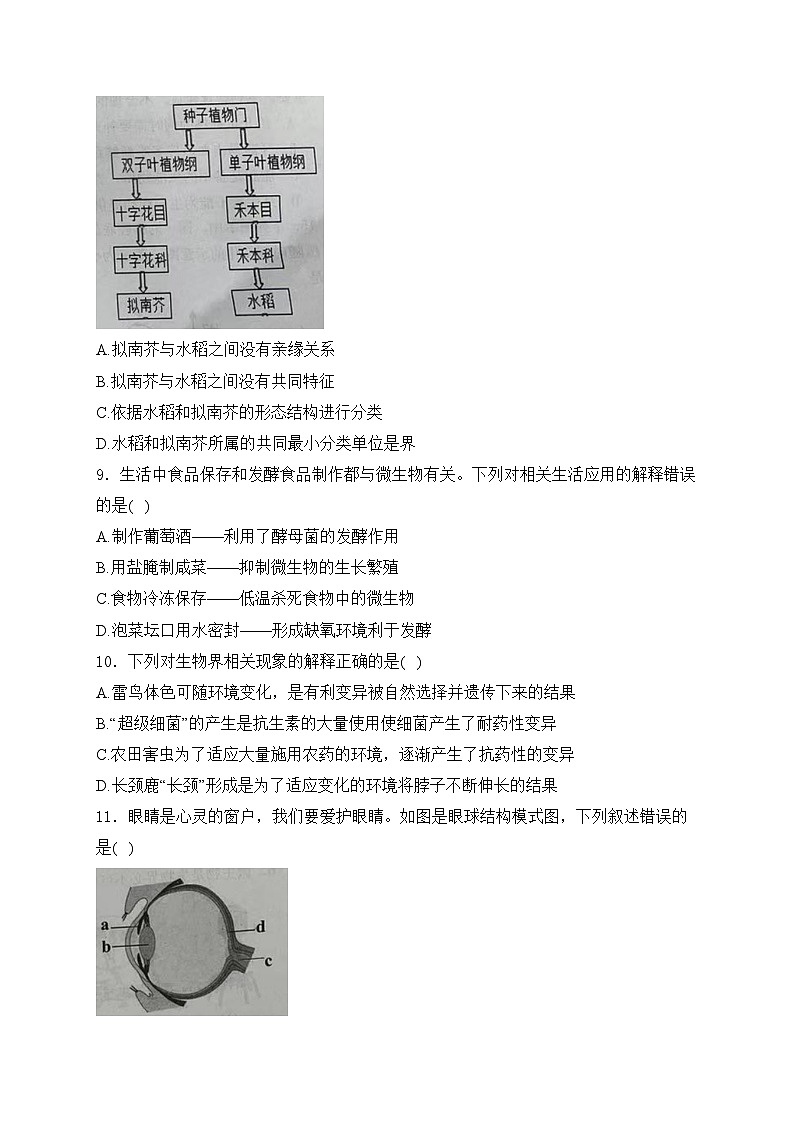 山东省青岛市即墨区多校联考2023-2024学年八年级下学期4月期中考试生物试卷(含答案)第3页