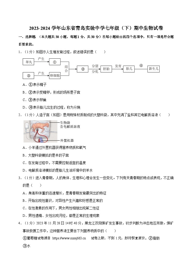 25,山东省青岛实验中学2023-2024学年七年级下学期期中生物试卷第1页