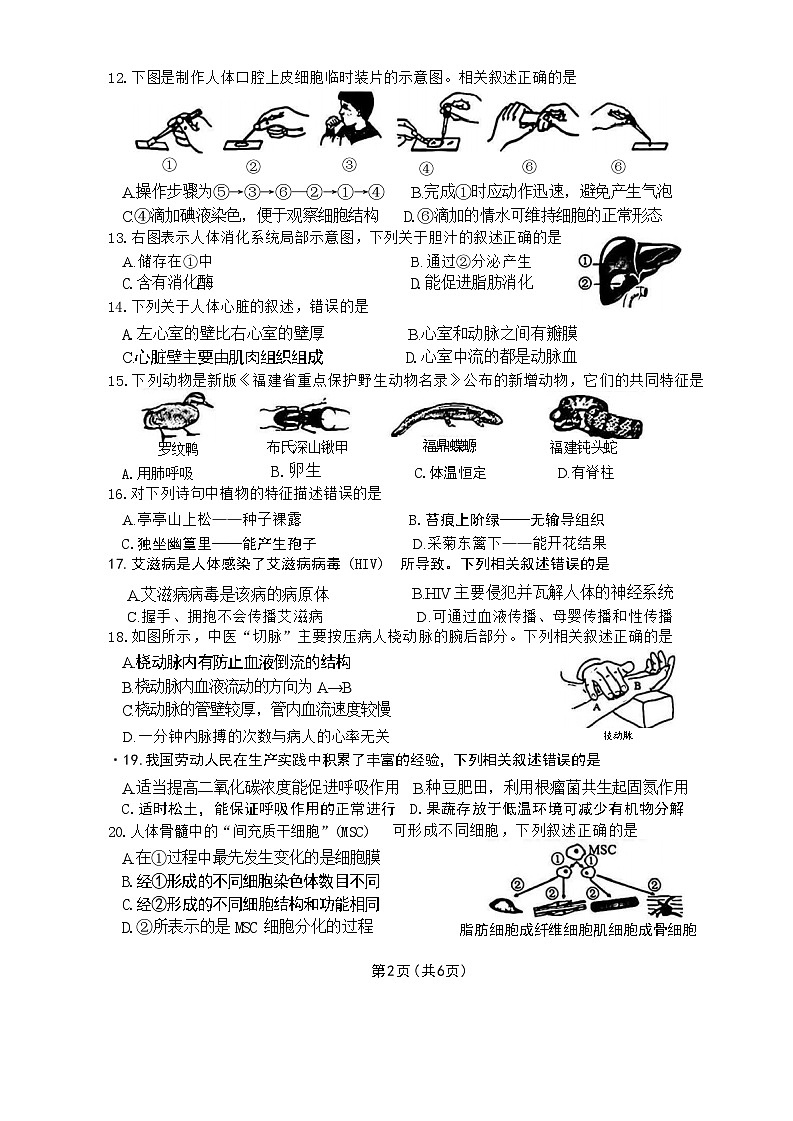 2024年福建省厦门市思明区八年级中考二模考试生物试题第2页