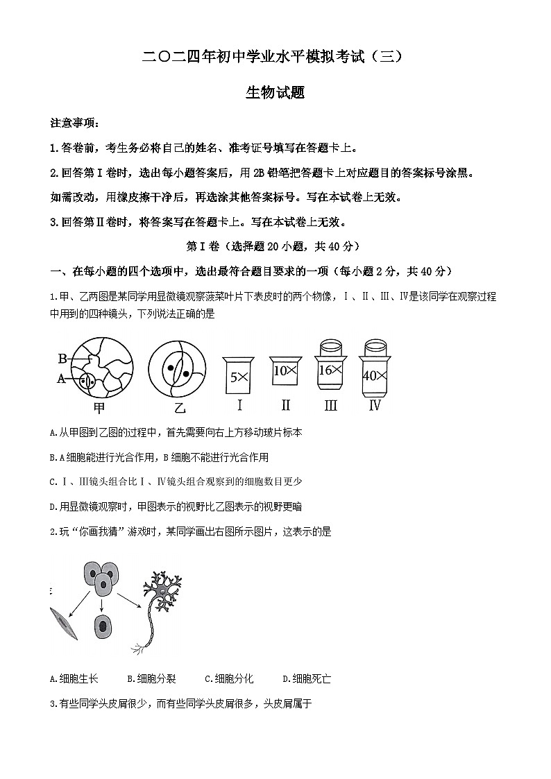 2024年山东省枣庄市峄城区中考三模生物试卷(无答案)第1页