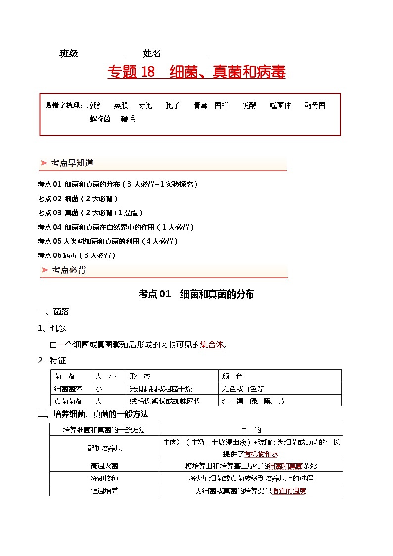专题18 细菌、真菌和病毒-备战2024年中考生物一轮复习考点帮01