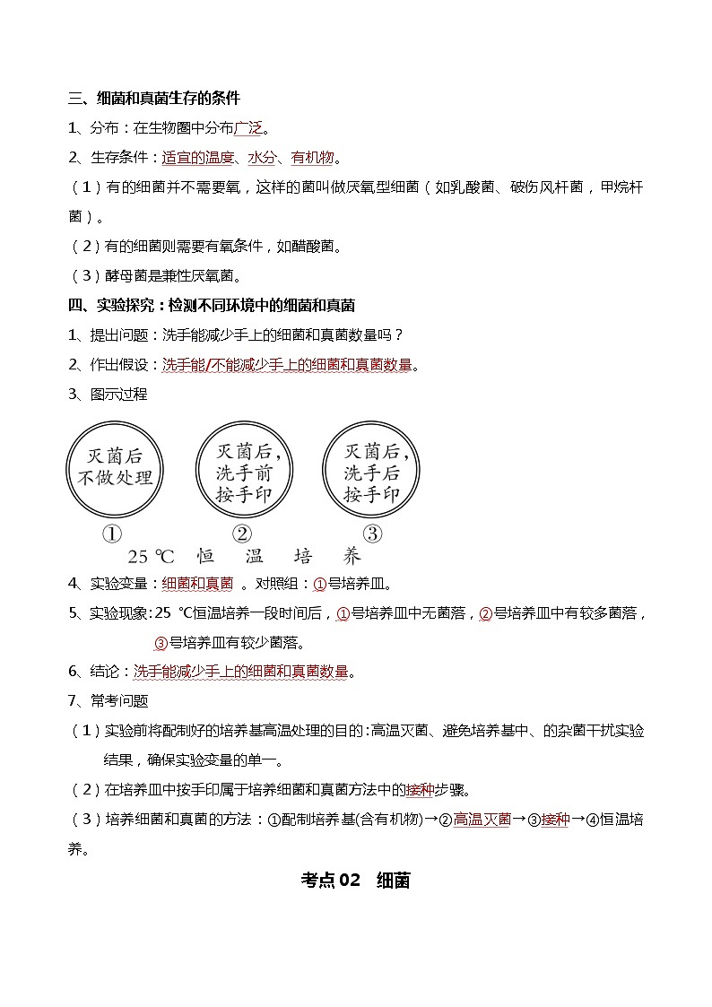 专题18 细菌、真菌和病毒-备战2024年中考生物一轮复习考点帮02