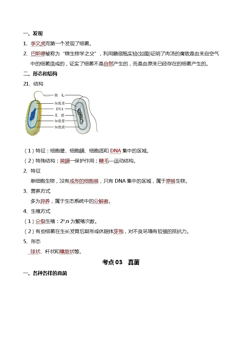 专题18 细菌、真菌和病毒-备战2024年中考生物一轮复习考点帮03