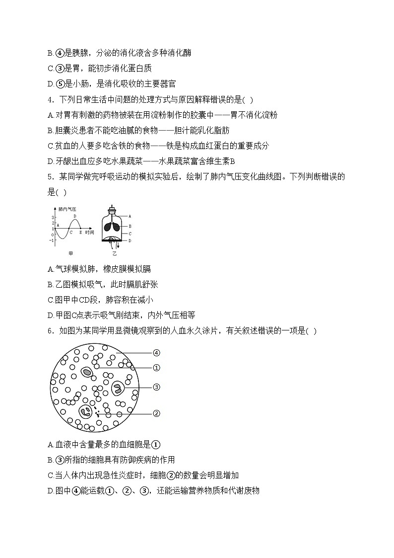 湖北省鄂州市鄂城区2022-2023学年七年级下学期期中质量监测生物试卷(含答案)第2页