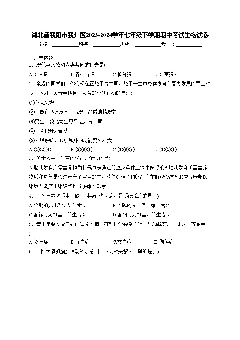 湖北省襄阳市襄州区2023-2024学年七年级下学期期中考试生物试卷(含答案)第1页