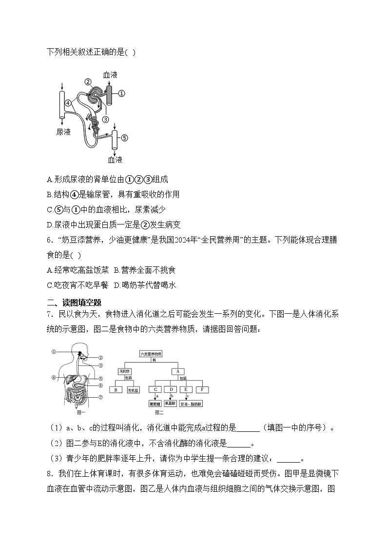 四川省泸州市合江县第五片区2023-2024学年七年级下学期第一次月考生物试卷(含答案)第2页