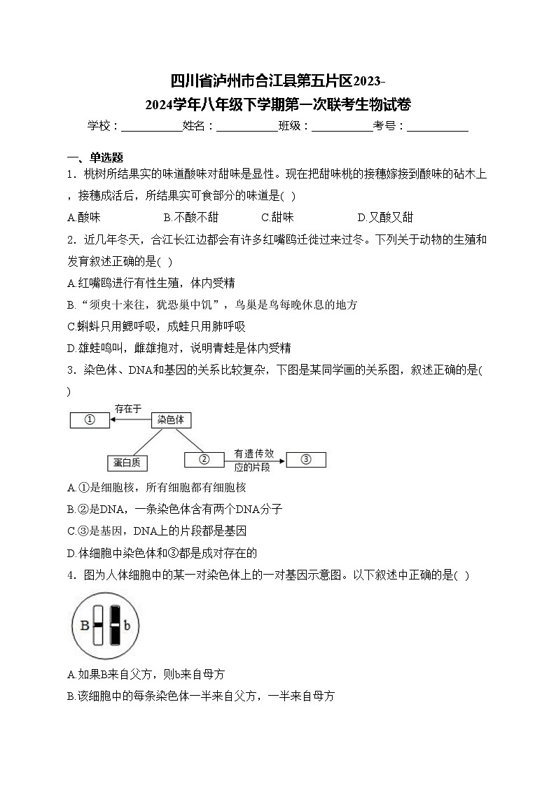 四川省泸州市合江县第五片区2023-2024学年八年级下学期第一次联考生物试卷(含答案)01