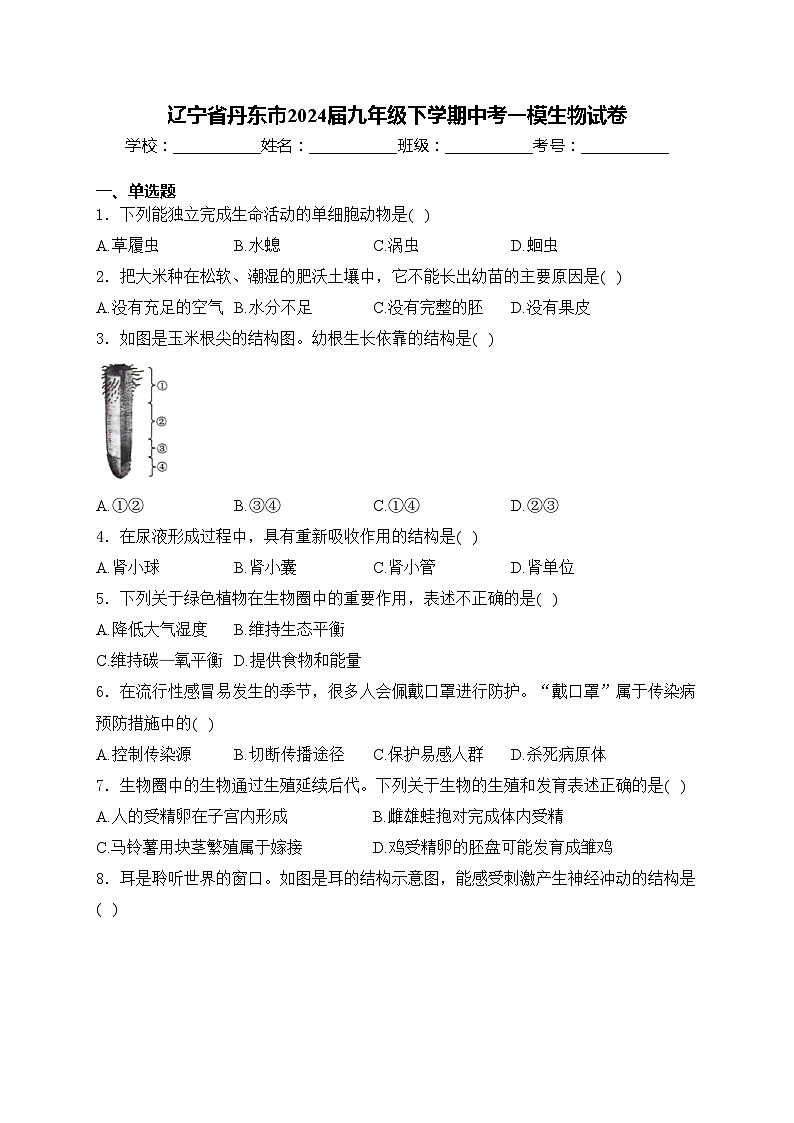 辽宁省丹东市2024届九年级下学期中考一模生物试卷(含答案)01