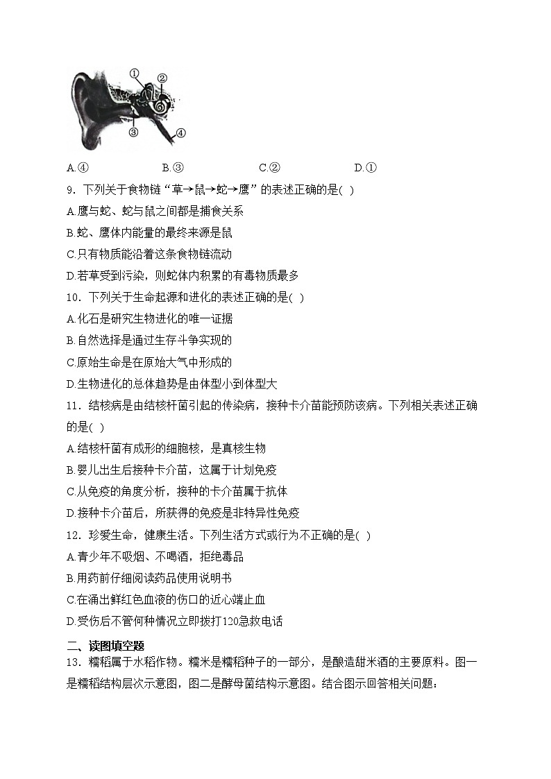 辽宁省丹东市2024届九年级下学期中考一模生物试卷(含答案)02
