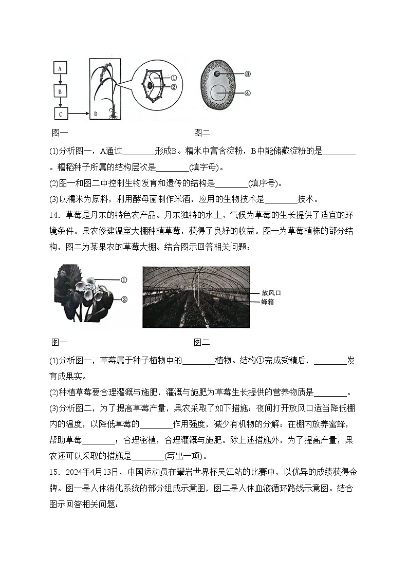 辽宁省丹东市2024届九年级下学期中考一模生物试卷(含答案)03