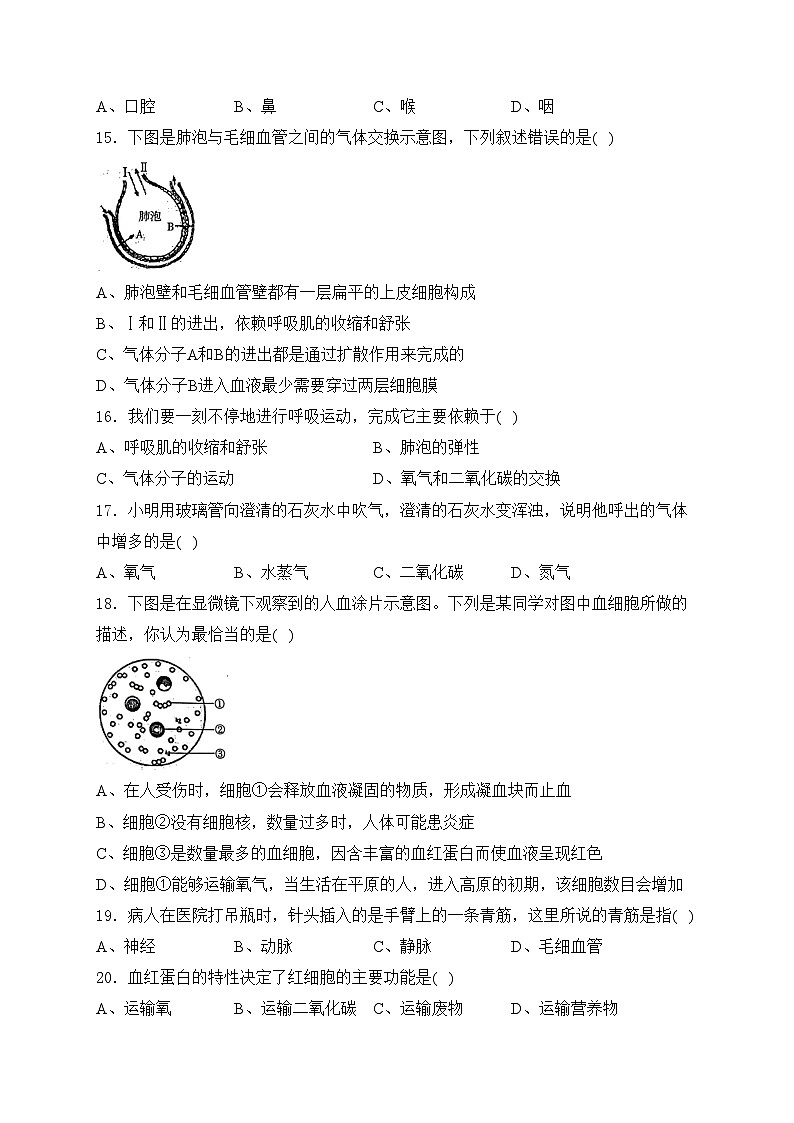 辽宁省丹东市凤城市2023-2024学年七年级下学期5月期中考试生物试卷(含答案)第3页