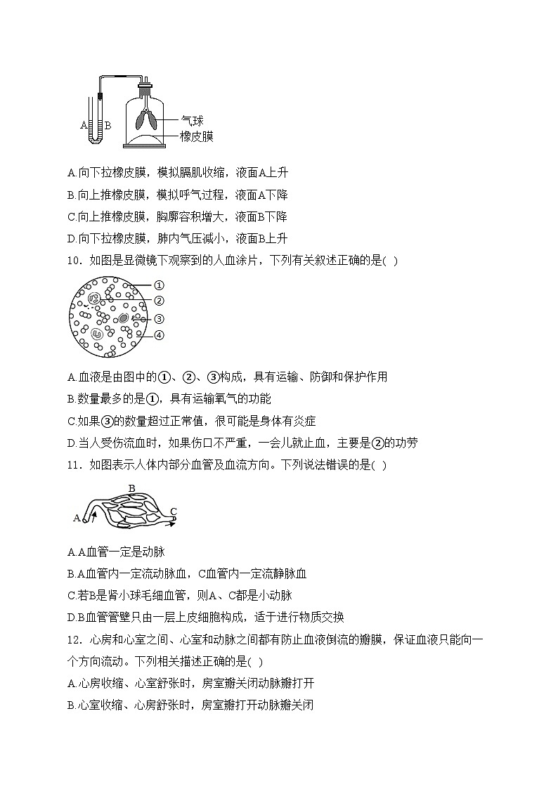 山东省临沂市沂水县2023-2024学年七年级下学期期中生物试卷(含答案)03
