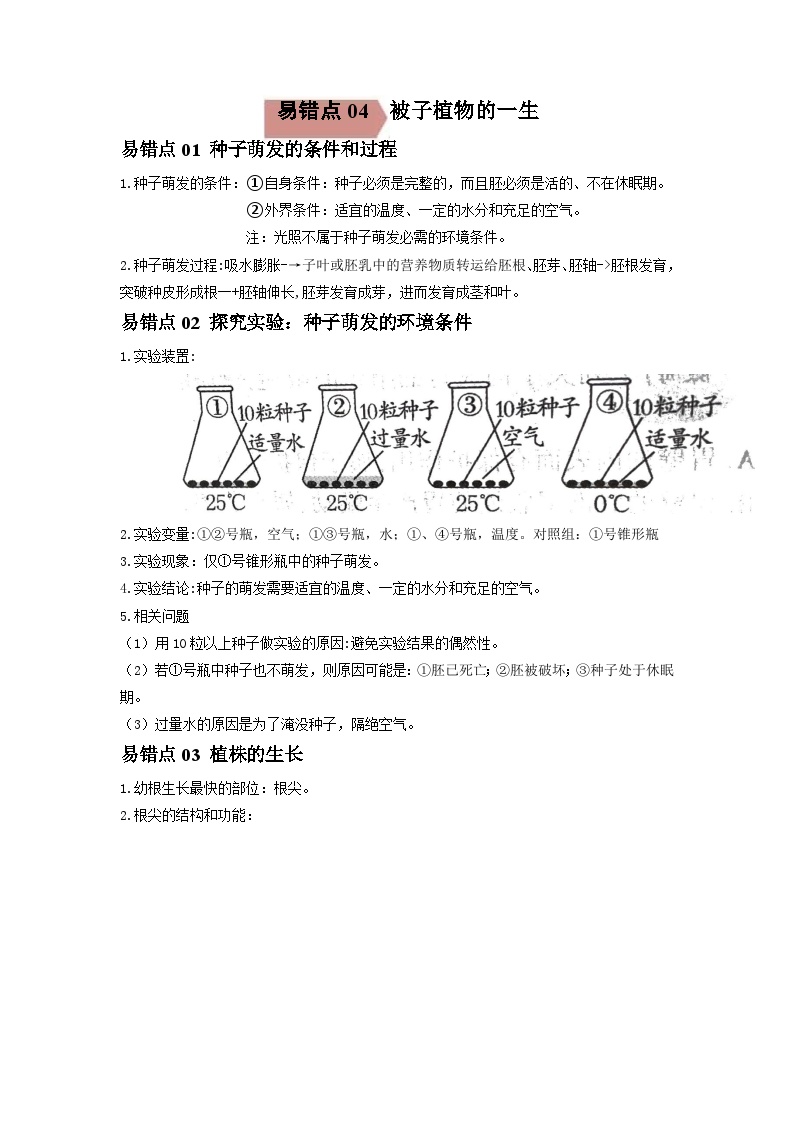 2024年中考生物考试易错点04 被子植物的一生（原卷版＋解析版）