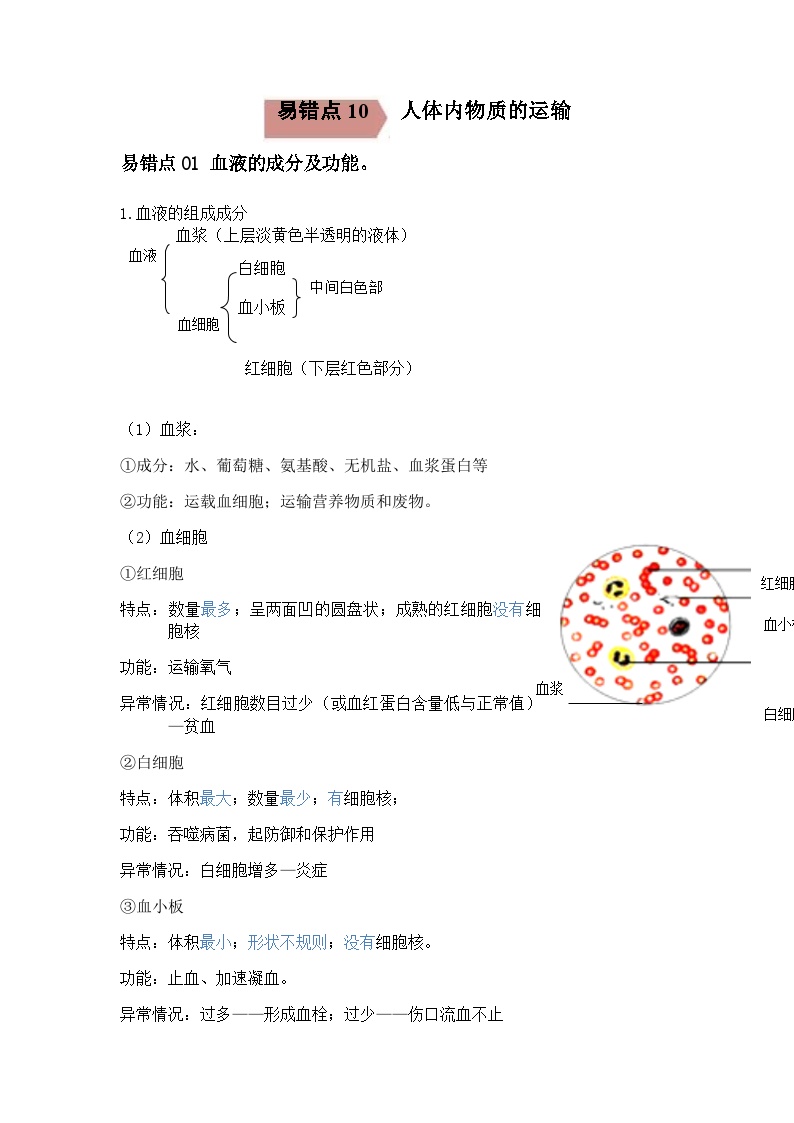 2024年中考生物考试易错点10 人体内的物质运输（原卷版＋解析版）