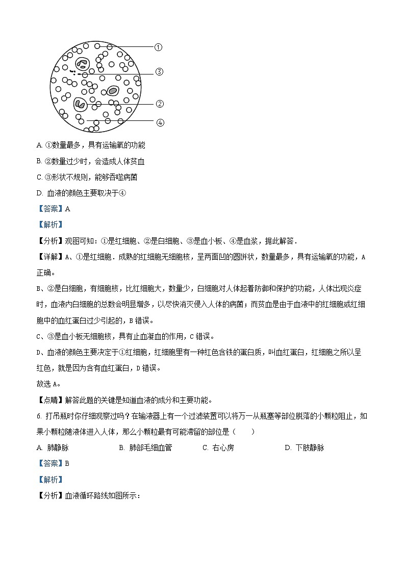2024年山东省菏泽市鄄城县九年级中考三模生物试题03