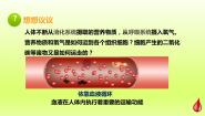 人教版 (新课标)七年级下册第一节 流动的组织──血液课文ppt课件