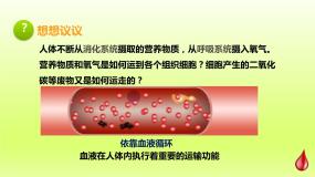 人教版 (新课标)七年级下册第一节 流动的组织──血液课文ppt课件