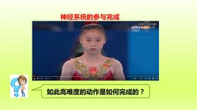 生物七年级下册第四单元 生物圈中的人第六章 人体生命活动的调节第二节 神经系统的组成课文课件ppt