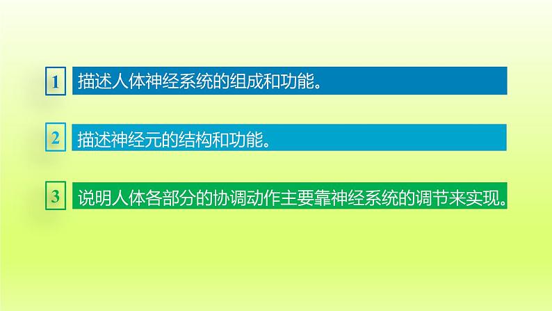 七下生物第四单元生物圈中的人第六章人体生命活动的调节第二节神经系统的组成课件(人教版)03