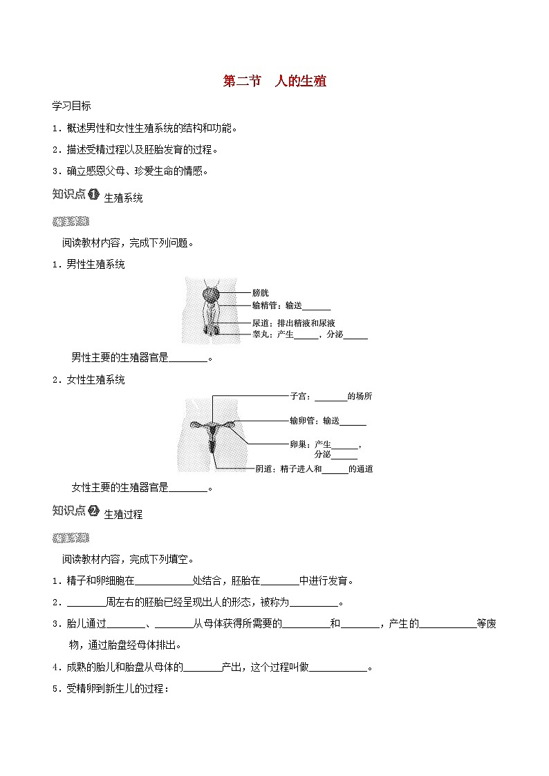 七下生物第四单元生物圈中的人第一章人的由来第二节人的生殖导学案(人教版)01
