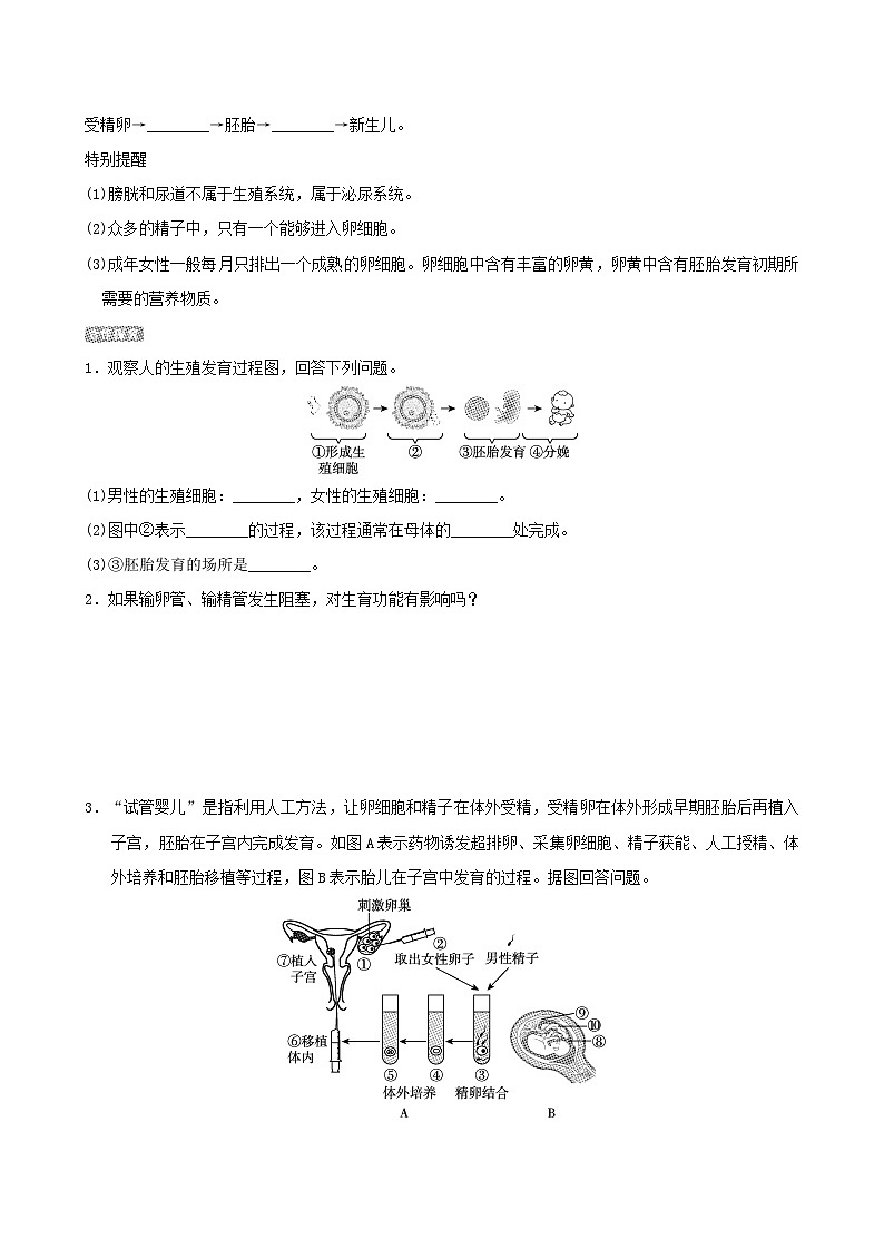 七下生物第四单元生物圈中的人第一章人的由来第二节人的生殖导学案(人教版)02
