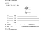 初中第五章 人体内废物的排出导学案及答案