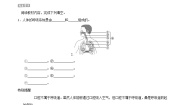 生物七年级下册第一节 呼吸道对空气的处理导学案及答案