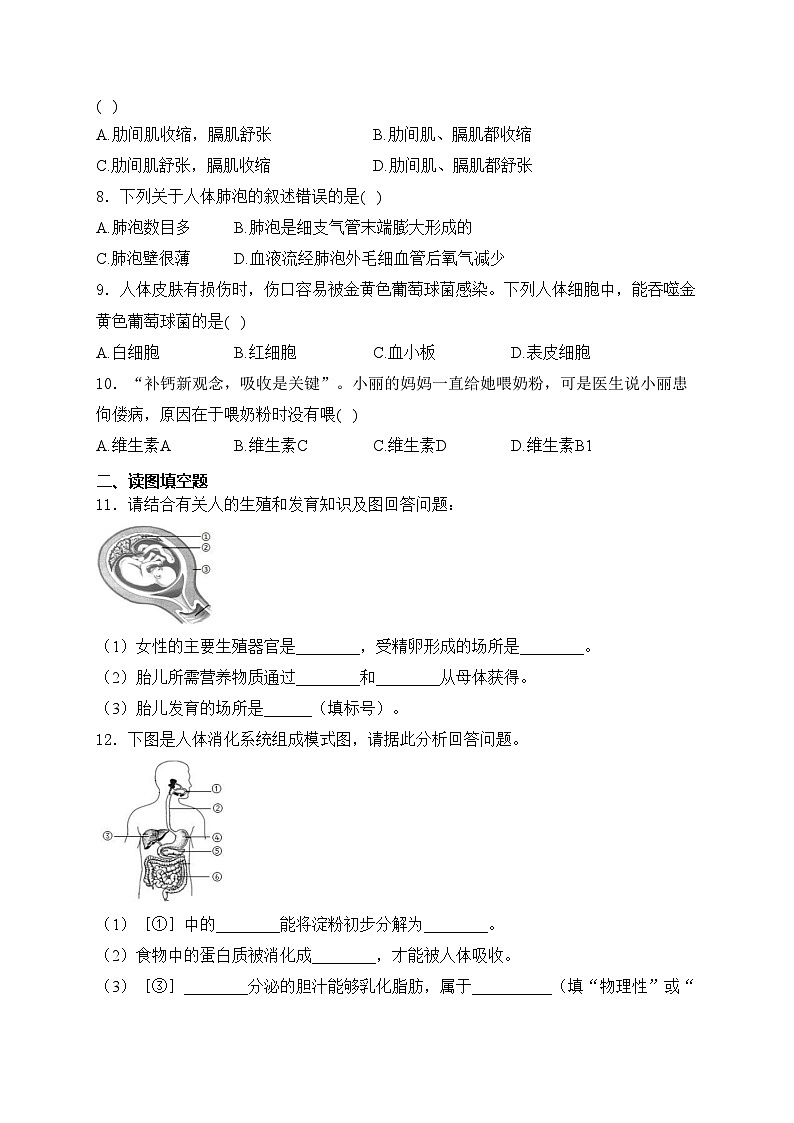 甘肃省天水市秦安县兴国中学、中山中学联考2023-2024学年七年级下学期5月期中考试生物试卷(含答案)第2页
