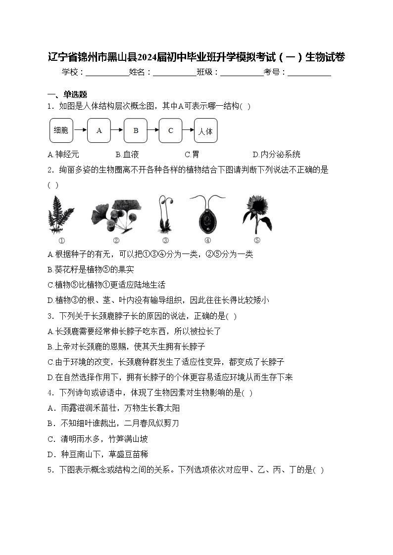 辽宁省锦州市黑山县2024届初中毕业班升学模拟考试（一）生物试卷(含答案)