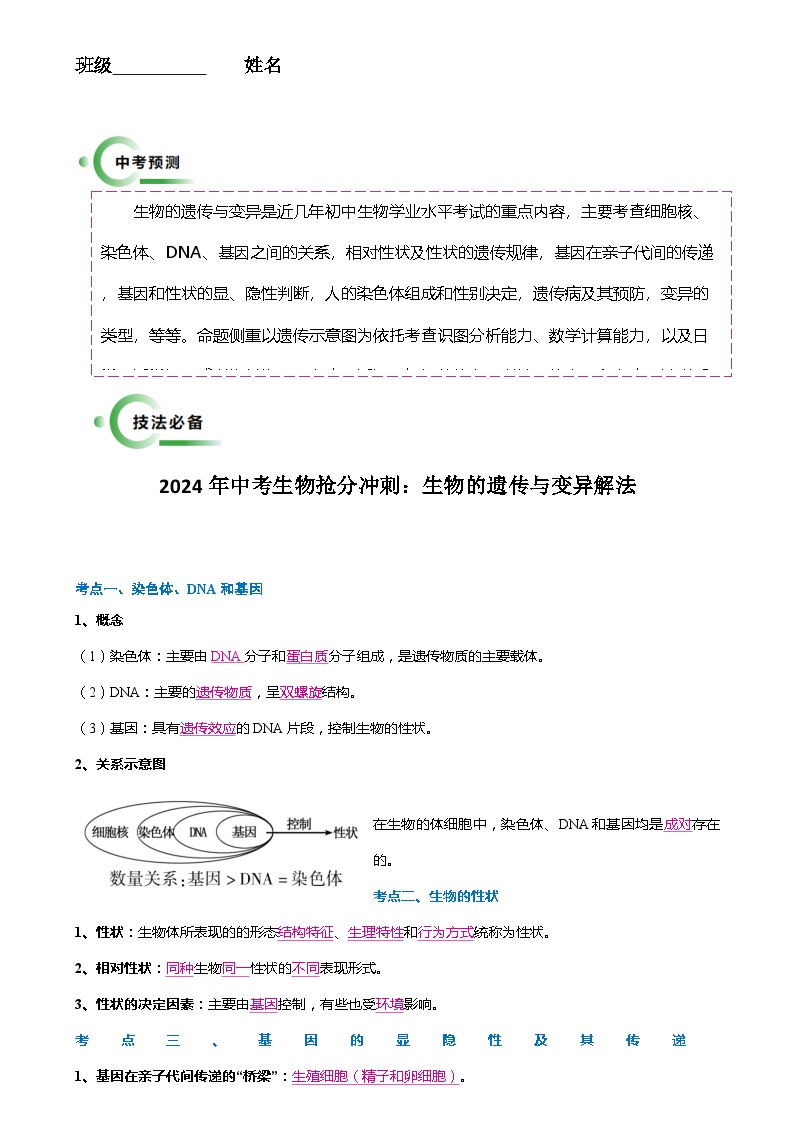 2024年中考生物抢分冲刺：生物的遗传与变异解法（解析版）