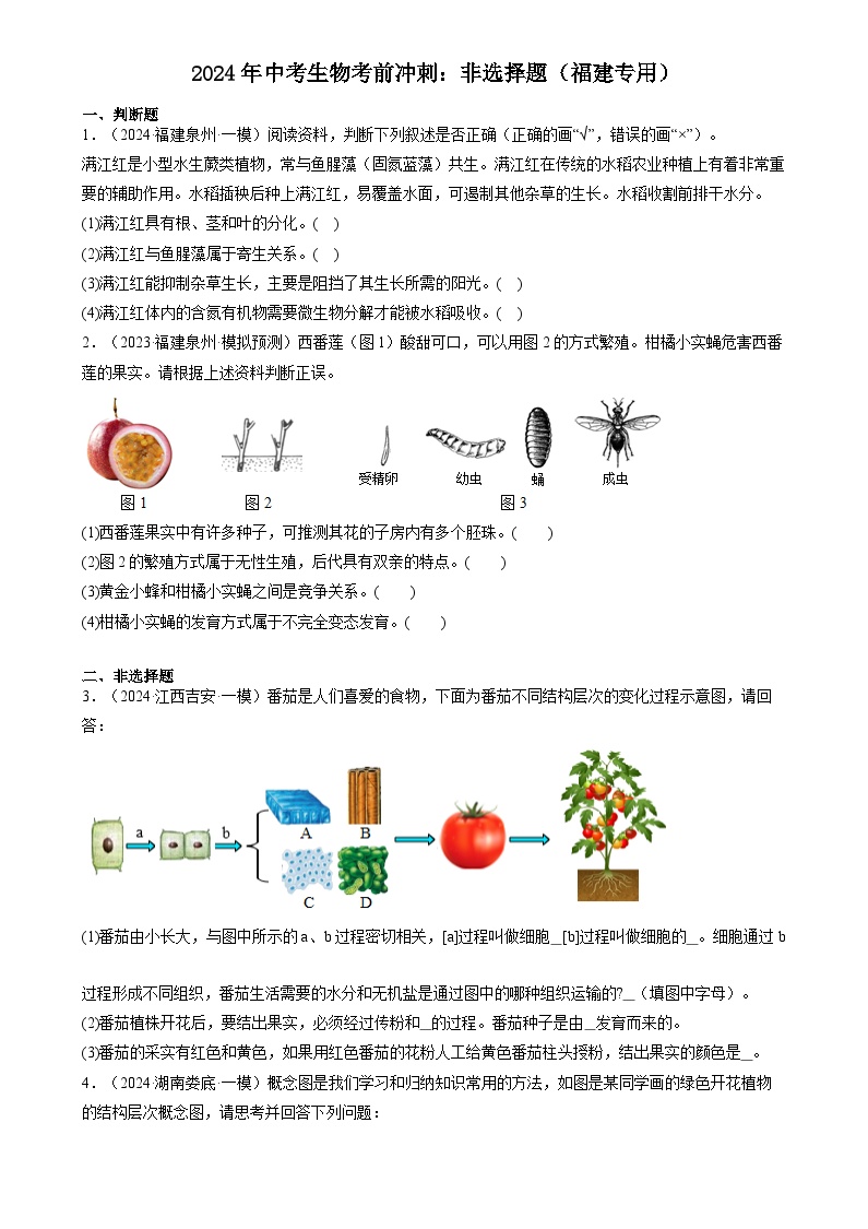 2024年中考生物考前冲刺：非选择题（福建专用）（原卷版+解析版)