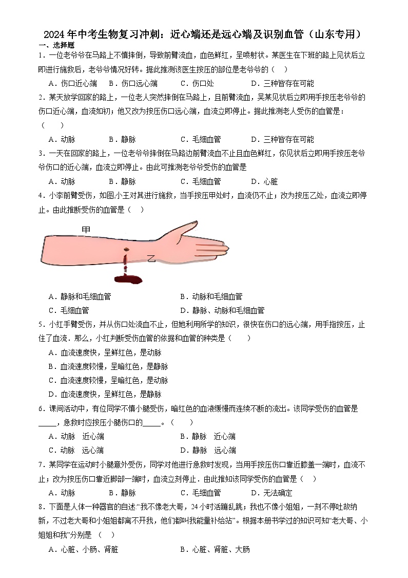 2024年山东省中考生物复习冲刺：近心端还是远心端及识别血管（山东专用）（原卷版＋解析版）