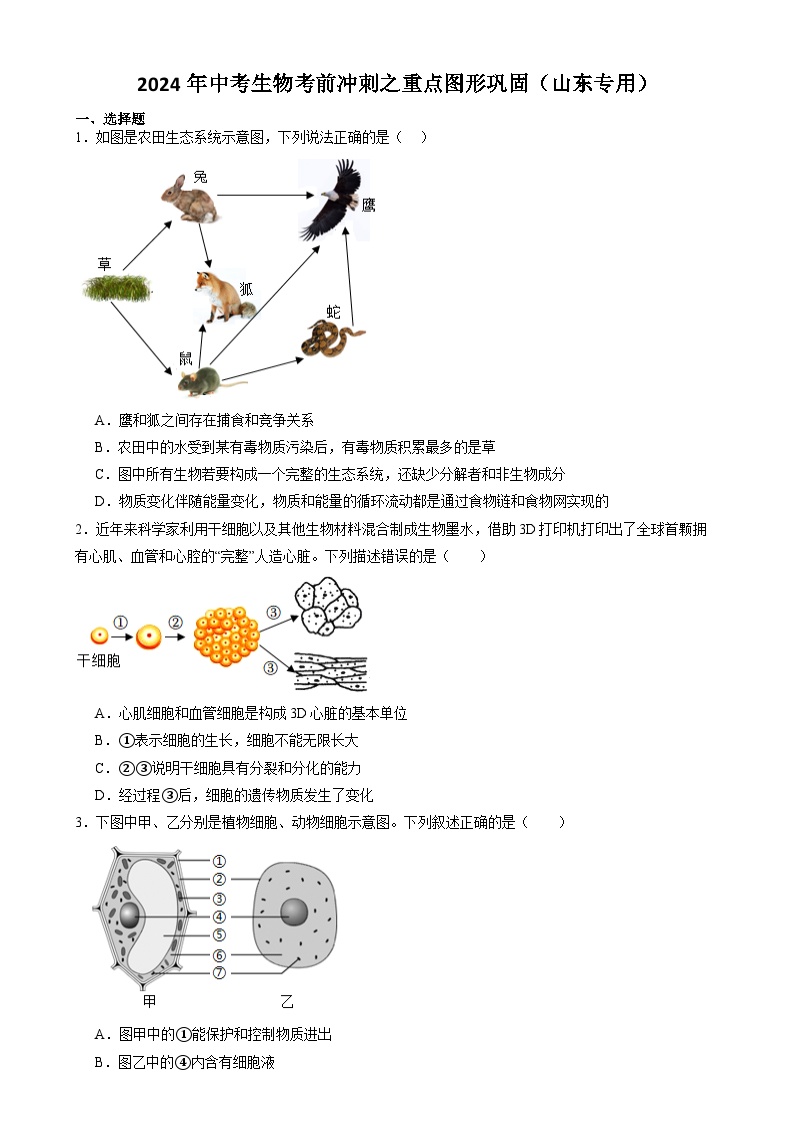 2024年山东省中考生物考前冲刺之重点图形巩固（原卷版+解析版）（山东专用）