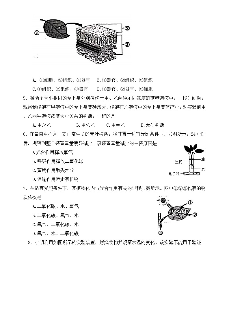 2024年四川省成都市初中学业水平考试生物学试题(含答案)第2页
