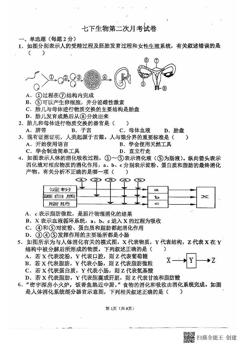 山东省聊城市阳谷县实验中学2023-2024学年七年级下学期6月月考生物试题01