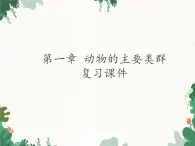 鲁科版（五四制）生物八年级上册 第七单元第一章 动物的主要类群复习课件