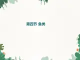 鲁科版（五四制）生物八年级上册 第七单元第一章第四节鱼类课件