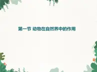 鲁科版（五四制）生物八年级上册 第七单元第三章第一节动物在自然界中的作用课件