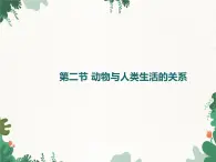 鲁科版（五四制）生物八年级上册 第七单元第三章第二节动物与人类生活的关系课件