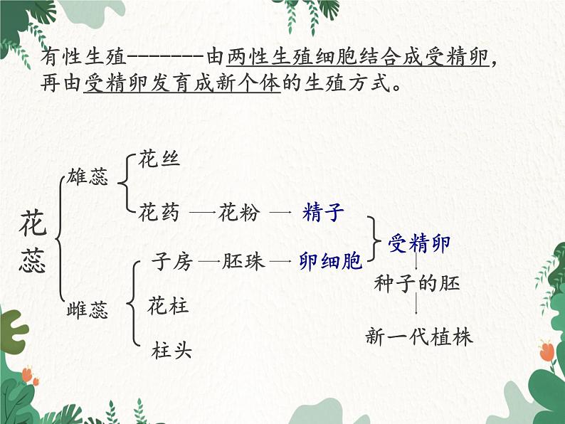 鲁科版(五四制)生物八年级下册 第八单元第一章生物的生殖和发育复习课件第5页