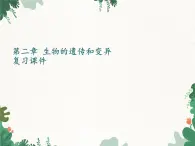 鲁科版（五四制）生物八年级下册 第八单元第二章 生物的遗传和变异复习课件