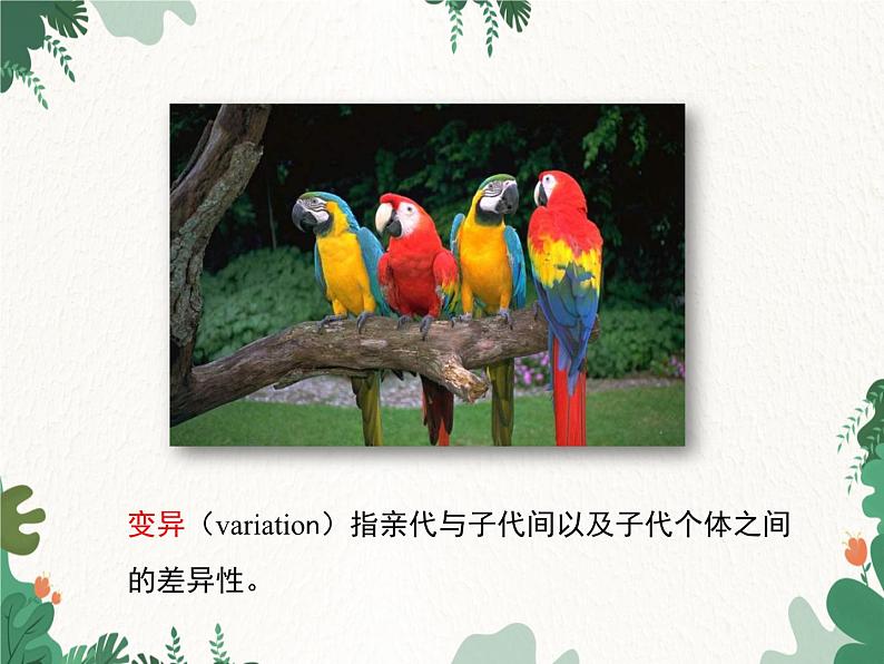 鲁科版(五四制)生物八年级下册 第八单元第二章第一节遗传的物质基础课件05