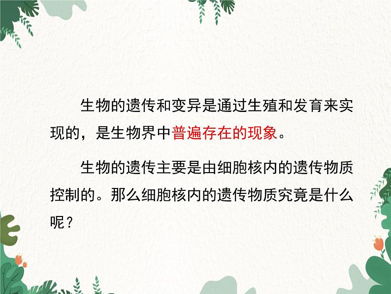 鲁科版(五四制)生物八年级下册 第八单元第二章第一节遗传的物质基础课件06