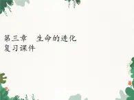 鲁科版（五四制）生物八年级下册 第八单元第三章生命的进化复习课件