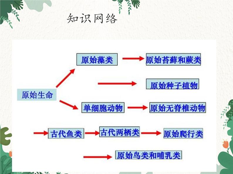 鲁科版(五四制)生物八年级下册 第八单元第三章生命的进化复习课件第2页