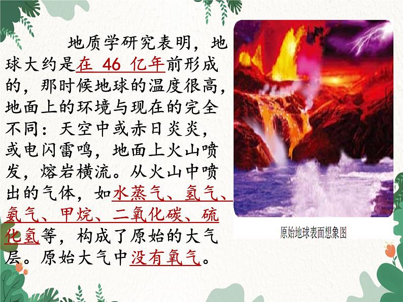 鲁科版(五四制)生物八年级下册 第八单元第三章生命的进化复习课件第5页