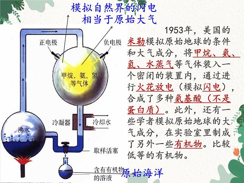 鲁科版(五四制)生物八年级下册 第八单元第三章生命的进化复习课件第6页